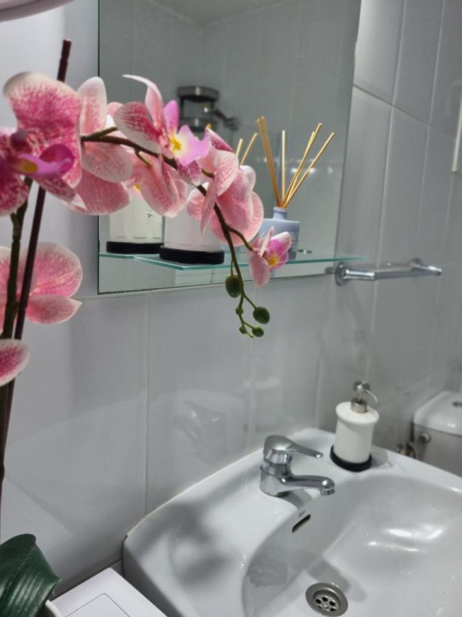Wonderful In Son Baulo/can Picafort Apartment *